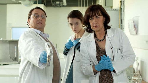 Das Geheimnis der Arktis Bild 4