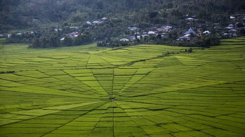 Le Soliloque des muets Bild 1