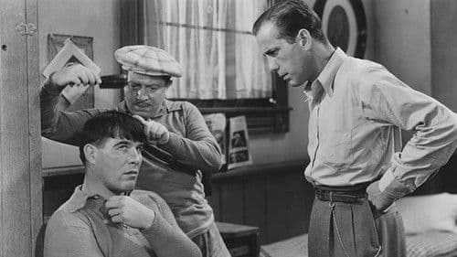 Swing Your Lady Bild 1