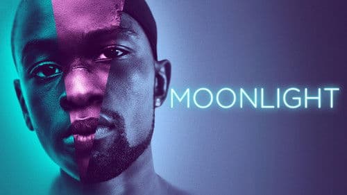 Moonlight Bild 5