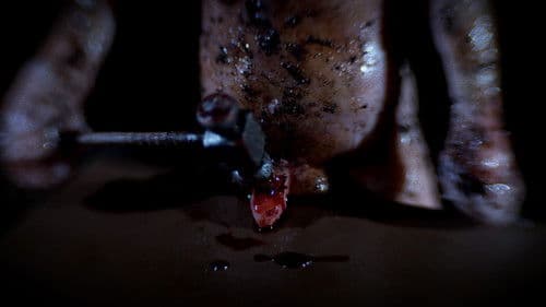 Tomorrow I Will Be Dirt Bild 3