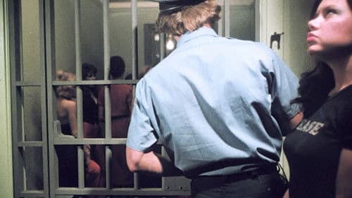 6 Schwedinnen hinter Gittern Bild 5