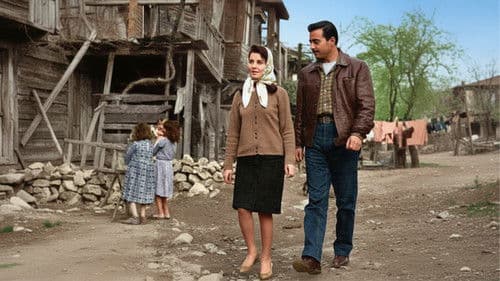 Avare Mustafa Bild 5