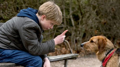 Storm - Sieger auf vier Pfoten Bild 1