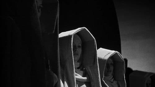 Address Unknown Bild 7