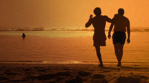 Shark Attack 360 Bild 1