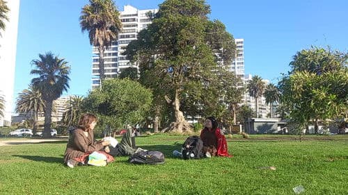 ¡Vaya colmena, tío! Bild 1