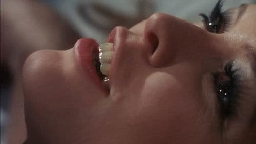 Wendekreis des Krebses Bild 5