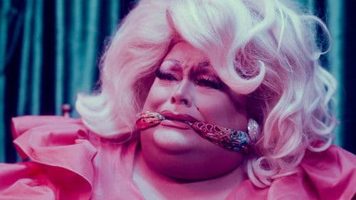 Stan Behavior Bild 4