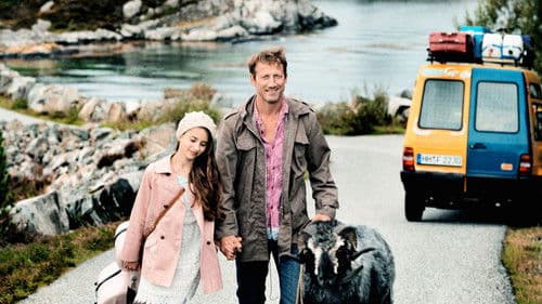 Kleine Ziege, sturer Bock Bild 2