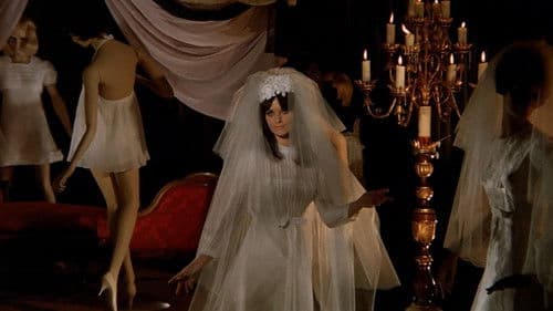 Red Wedding Night Bild 5