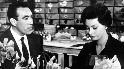 Die schwarze Orchidee Bild 2