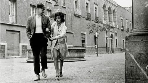 El Profeta Mimí Bild 1