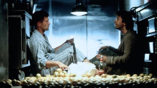 Knockin' on Heaven's Door Bild 2