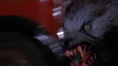 American Werewolf Bild 2