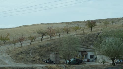 Şiddetin Gölgesi Bild 1