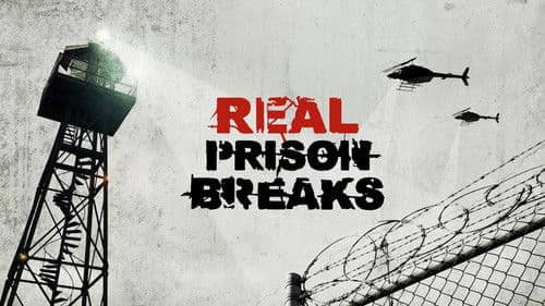 I Escaped: Real Prison Breaks Bild 6