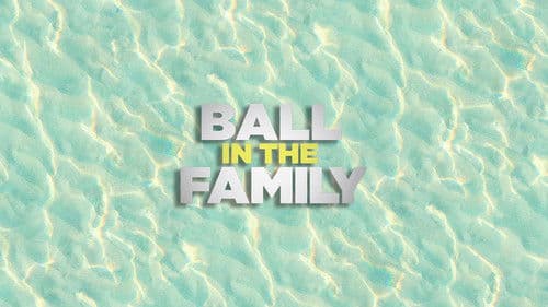 Ball In The Family Bild 3