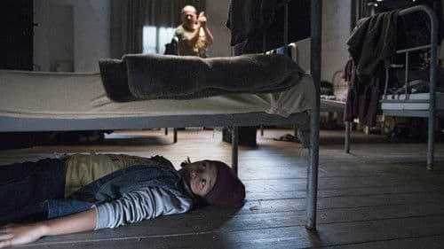 Fünf Freunde und das Tal der Dinosaurier Bild 5