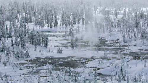 Epic Yellowstone Bild 2