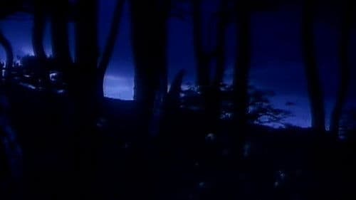 Evil Dead Trap 3 Bild 2