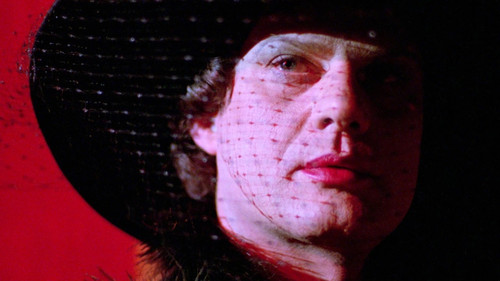 In einem Jahr mit 13 Monden Bild 4