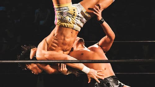 The Wrestlers Bild 2