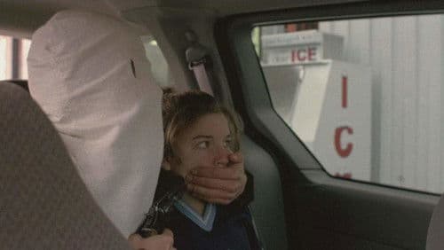 The Cottage in the Dark Woods Bild 5