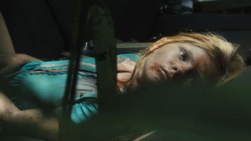 Transamazonia Bild 4