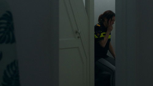 A Perfect Night Bild 2