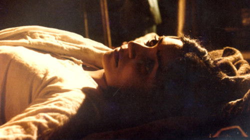 दामुल Bild 1