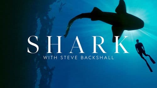 Shark with Steve Backshall Bild 7