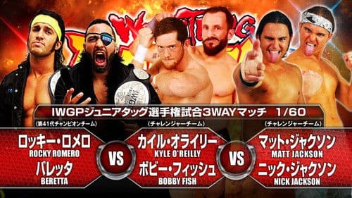 NJPW Wrestling Dontaku 2015 Bild 3