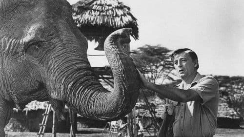 Südlich vom Pangani-Fluß Bild 1