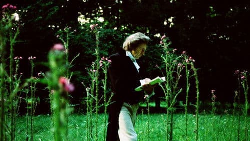 Els tres porquets Bild 4