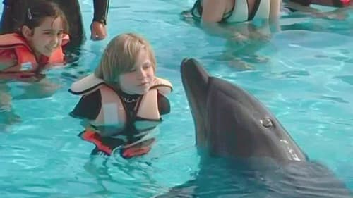 Saving Flipper Bild 1