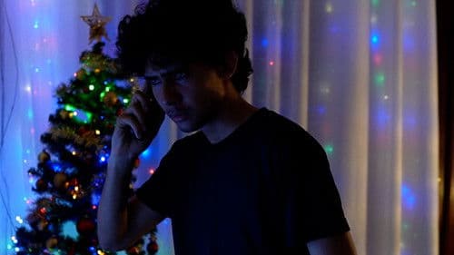 Laços de Natal Bild 1