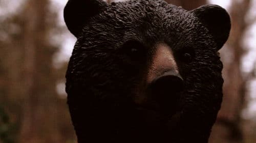 In The Land of Fish and Honey Bild 2