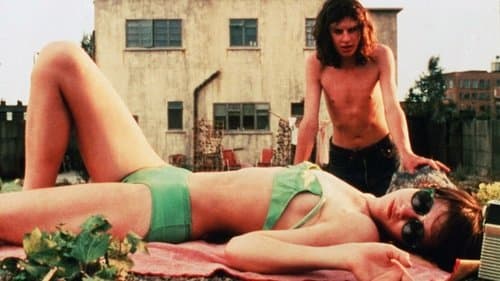 Der Zementgarten Bild 1