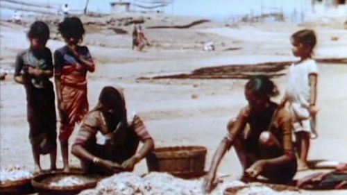 Colorful Bombay Bild 1