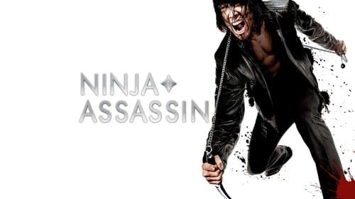 Ninja Assassin Bild 8