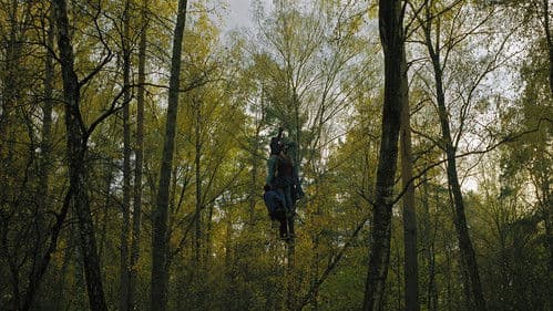 Безумные подражатели Bild 3