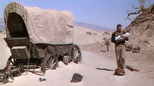 Spuren im Sand Bild 6