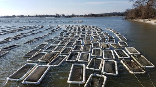 Maryland Farm & Harvest Bild 7