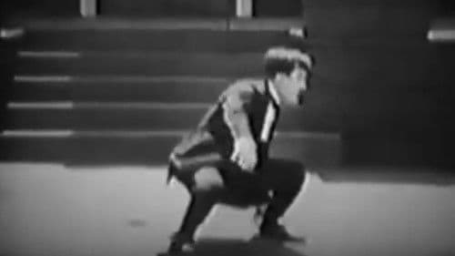 The Green Cat Bild 2