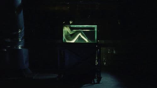 Tomie: Replay Bild 8