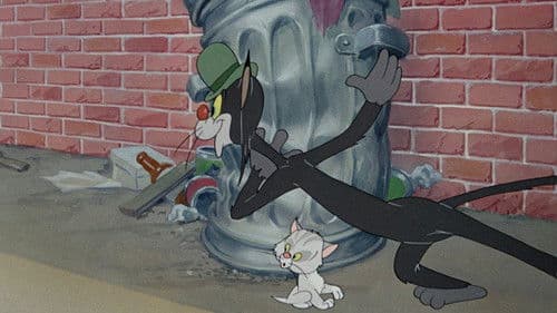 Bad Luck Blackie Bild 3