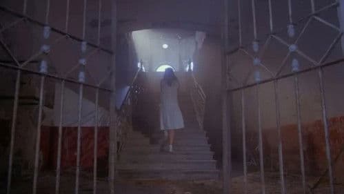 El secreto de Romelia Bild 2