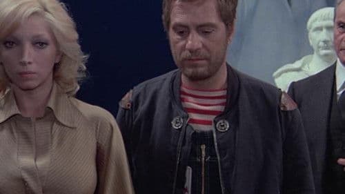 Attenti al buffone Bild 2