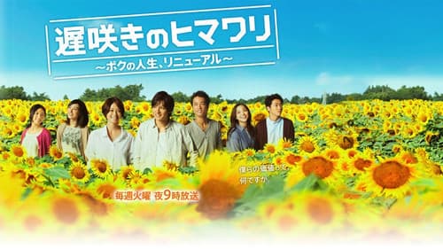 遅咲きのヒマワリ～ボクの人生、リニューアル～ Bild 2